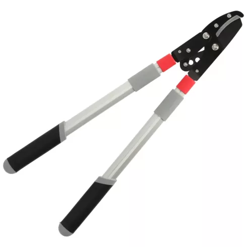 DEDRA Üllős metszőolló ágakhoz, áttétel, teleszkópos fogantyúk 80A031